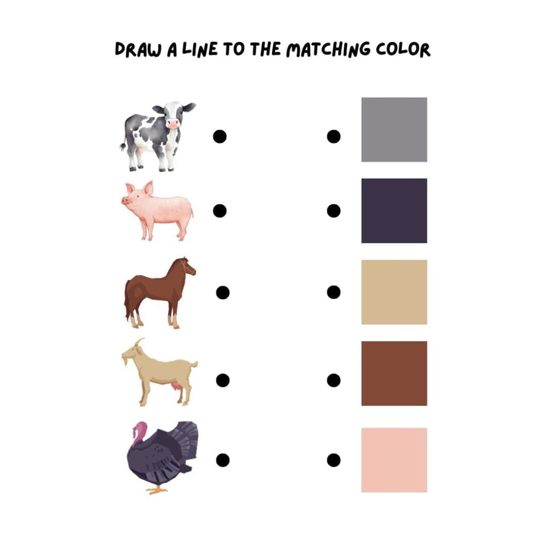 Matching Farm Animals - Image 2