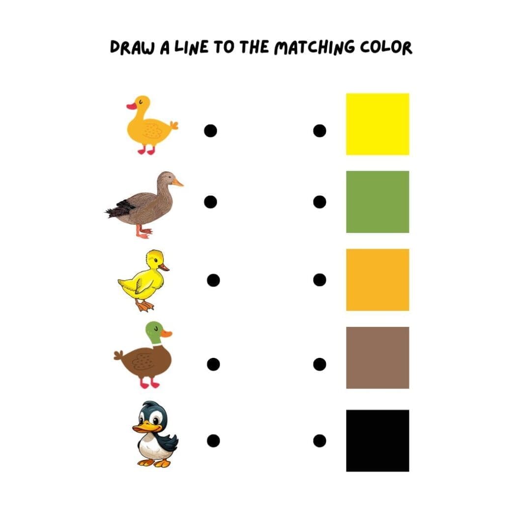 Matching Farm Animals - Image 4